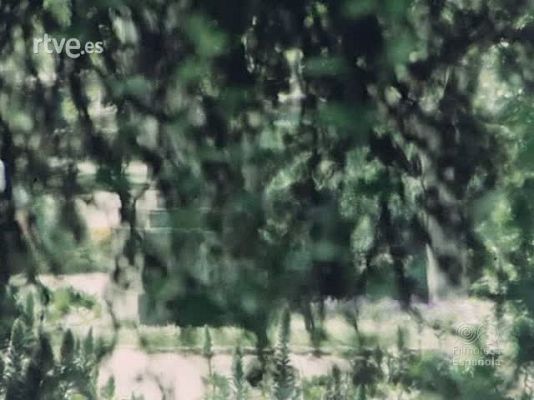 NO-DO - NOT N 1945 A