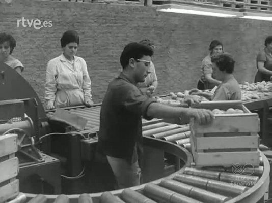 NO-DO - NOT N 1179 C