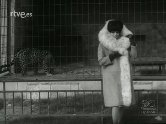 NO-DO - NOT N 1191 C