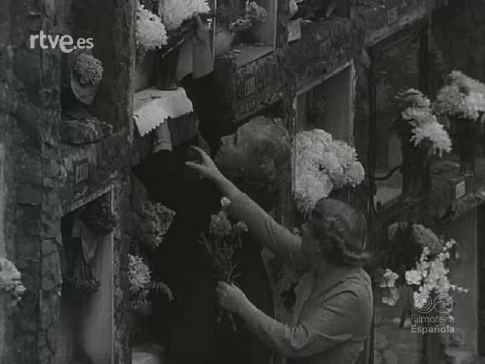 NOT N 566 B - NO-DO | Ver