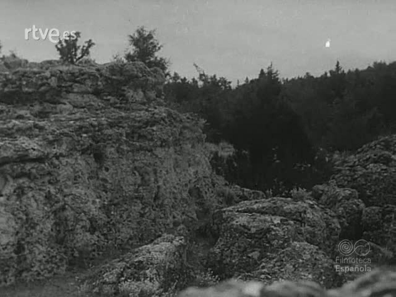 NOT N 600 B - NO-DO | Ver