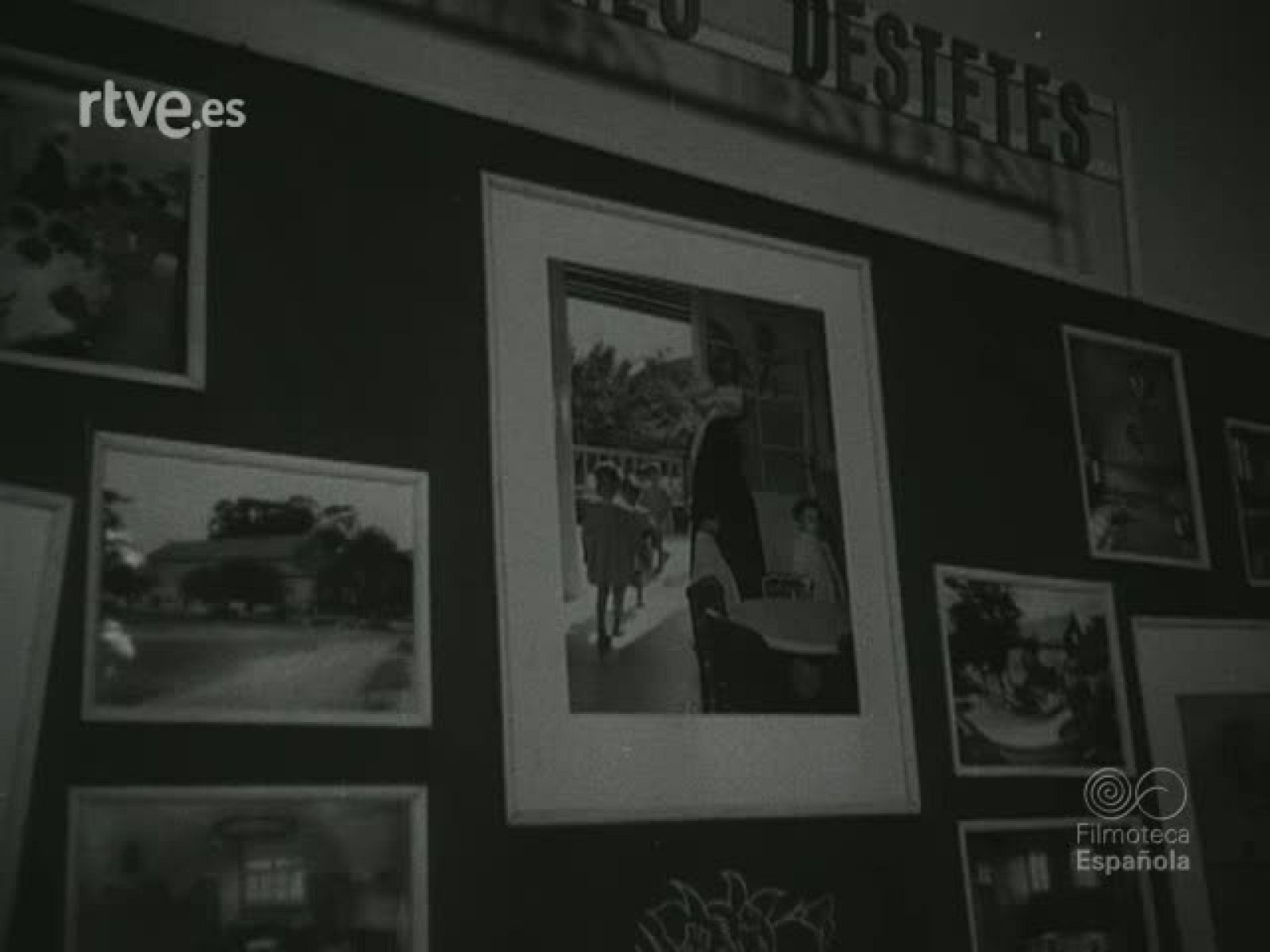 NOT N 570 B - NO-DO | Ver