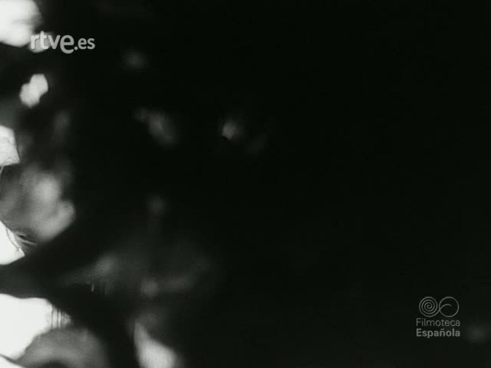 NOT N 1485 B - NO-DO | Ver