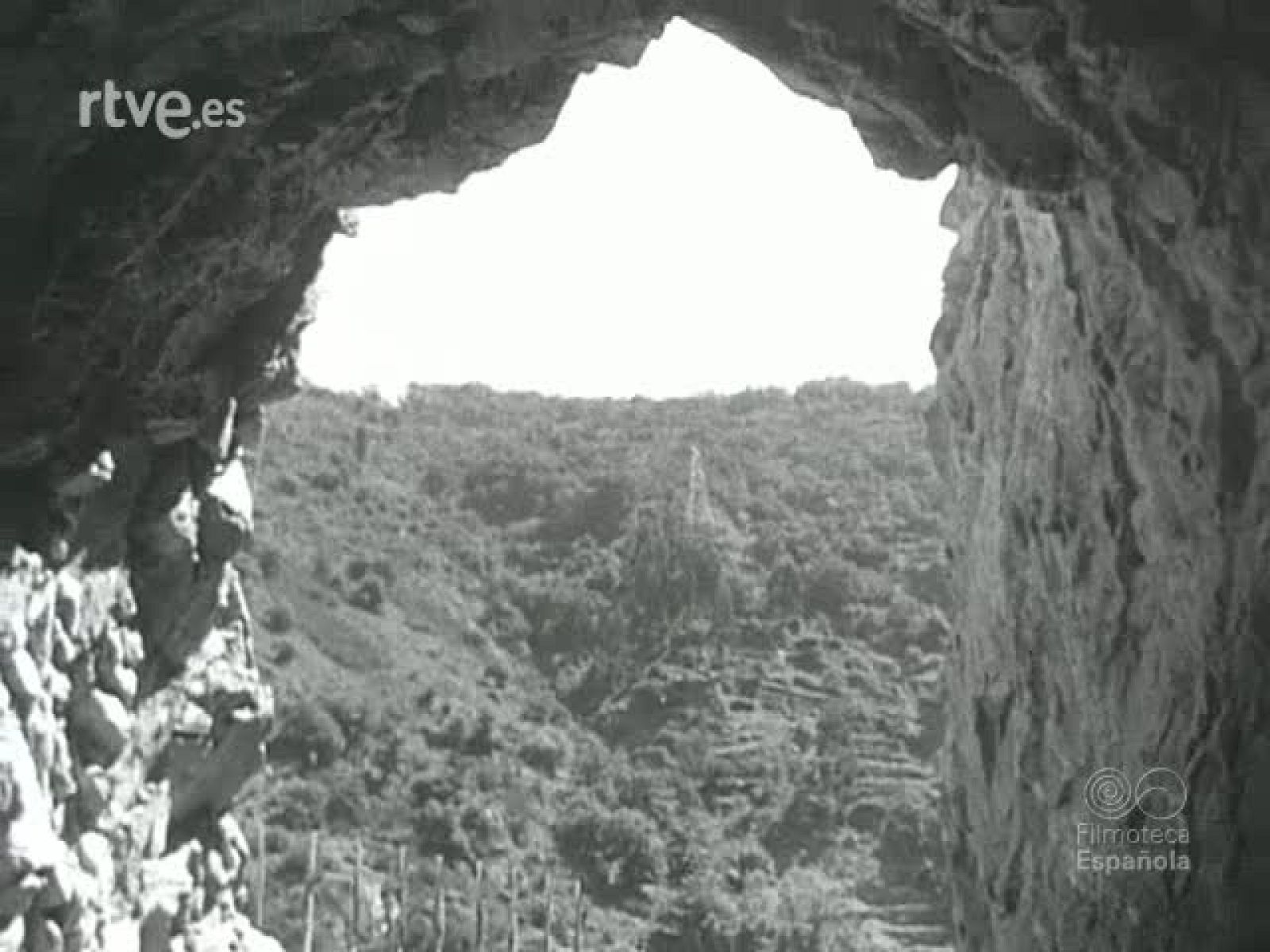 NOT N 662 B - NO-DO | Ver