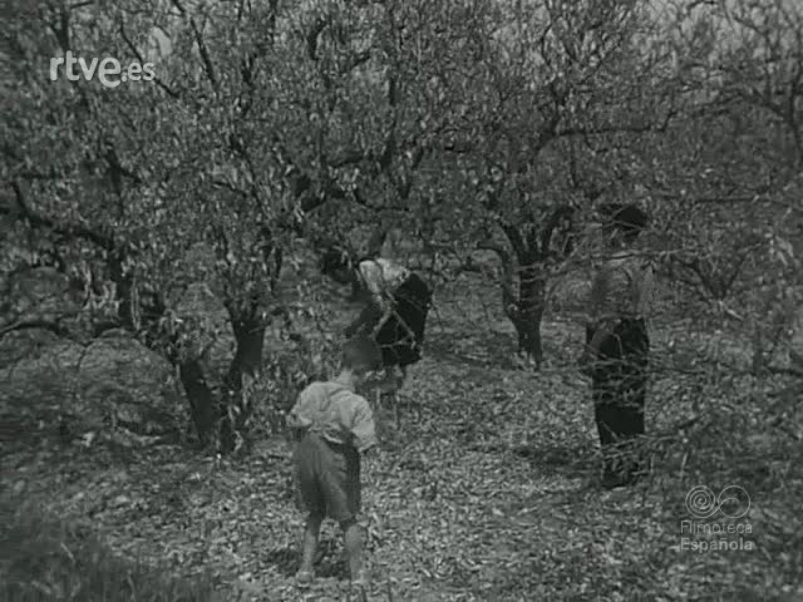 NOT N 698 A - NO-DO | Ver