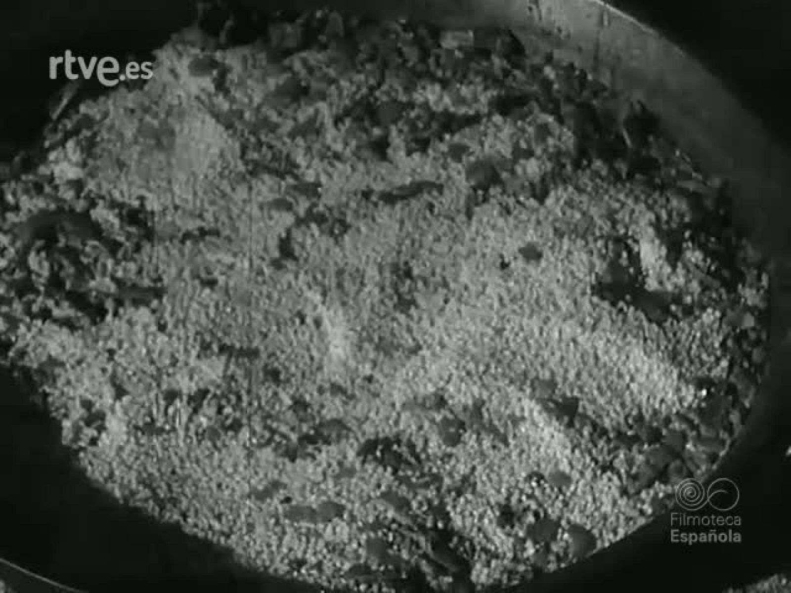 NOT N 626 A - NO-DO | Ver