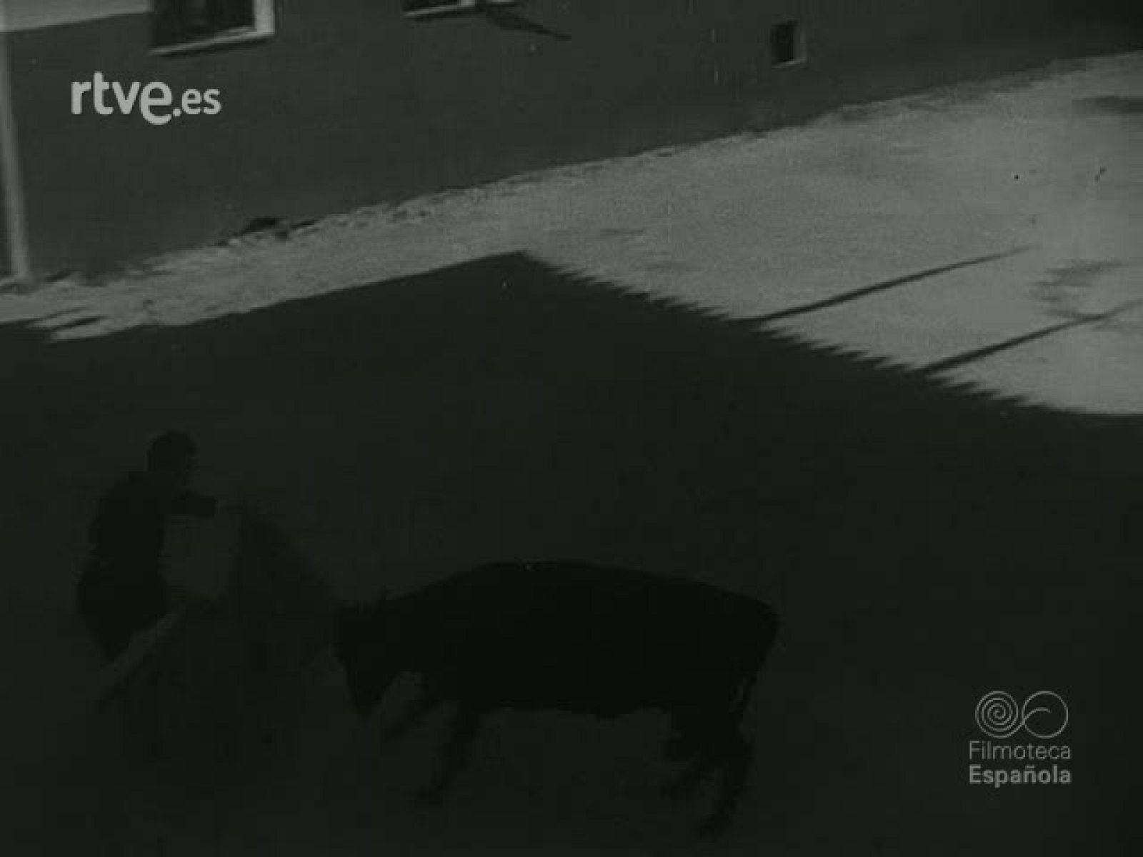 NOT N 544 B - NO-DO | Ver