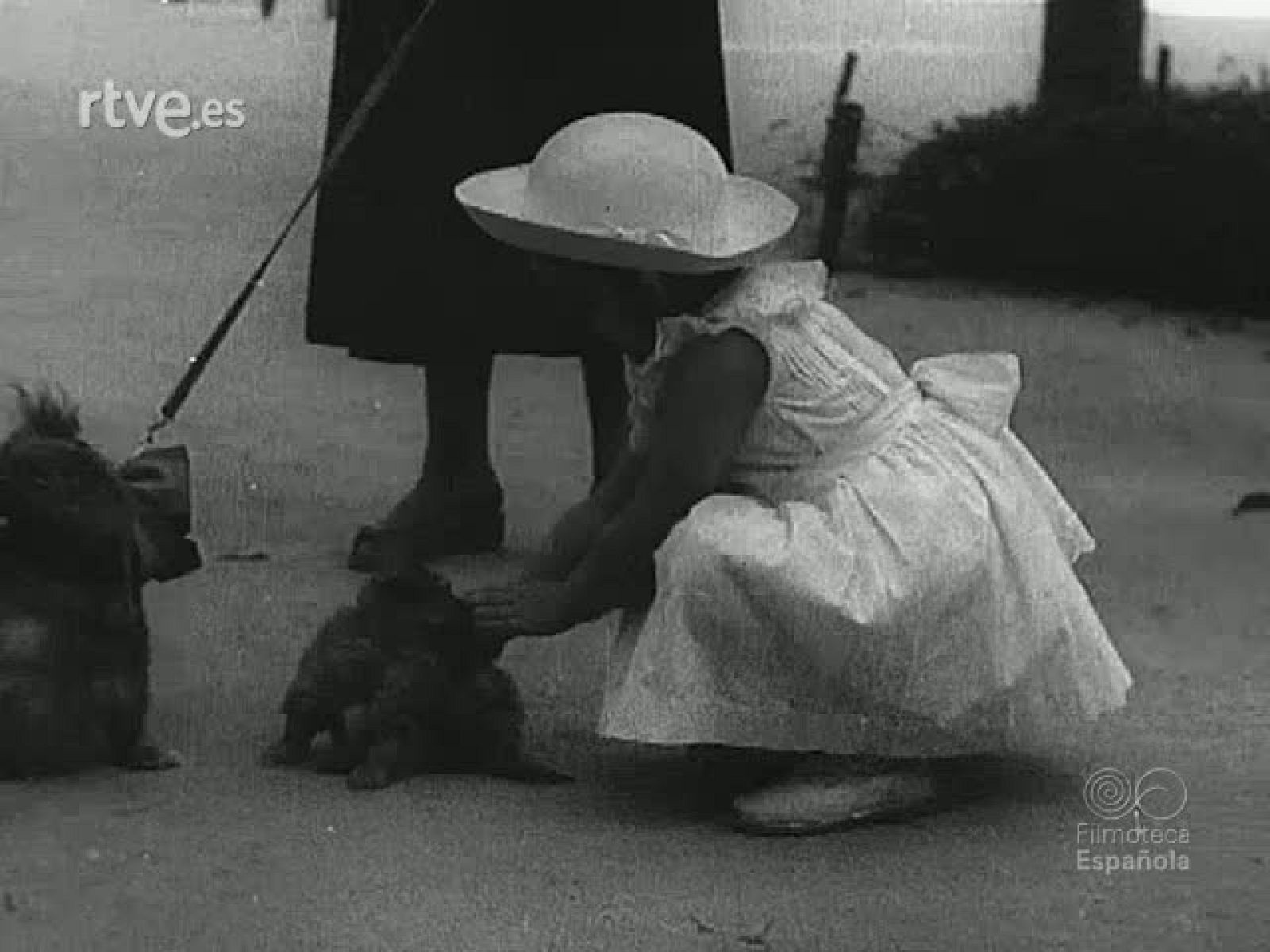 NOT N 543 A - NO-DO | Ver