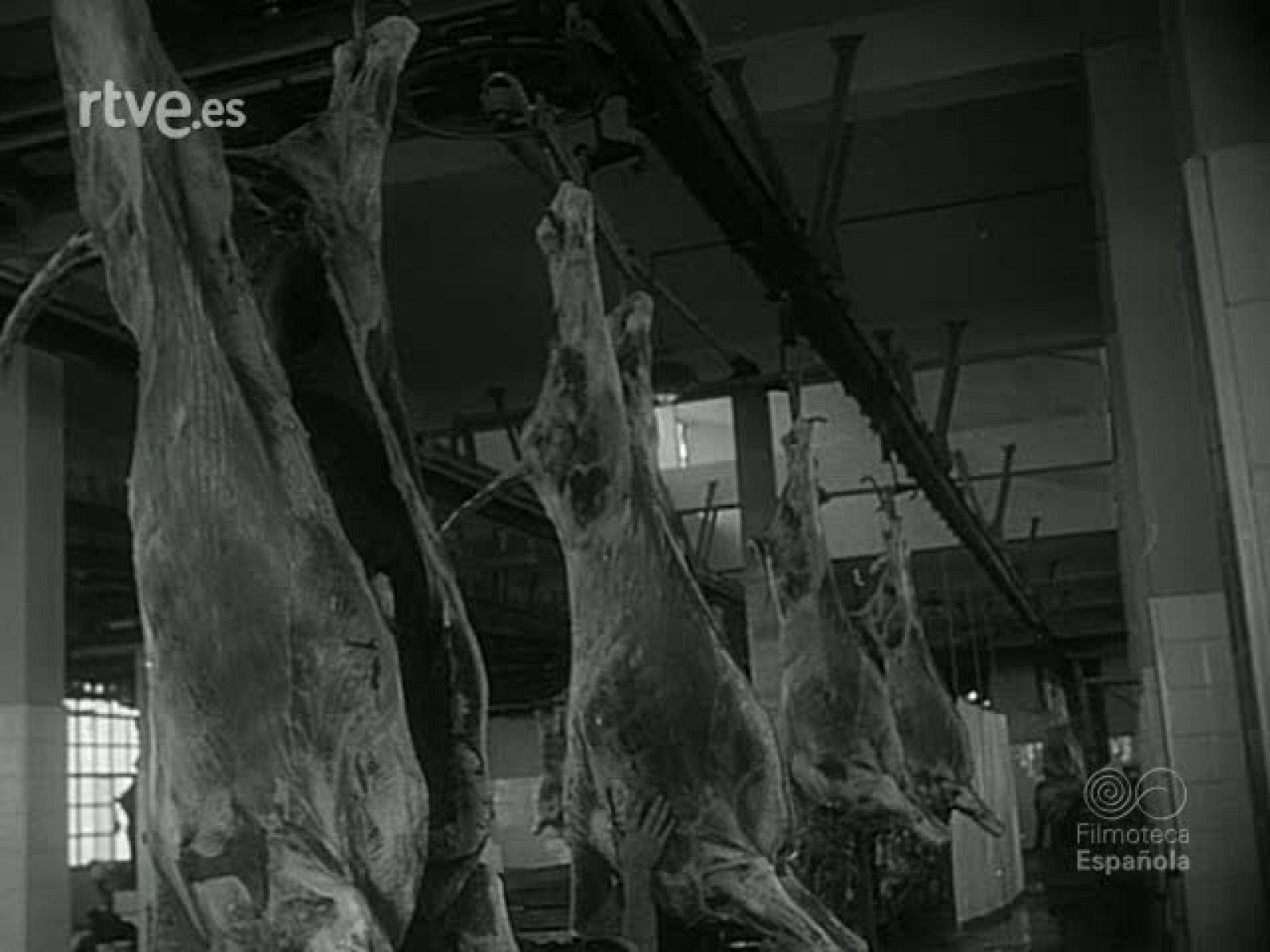 NOT N 716 A - NO-DO | Ver