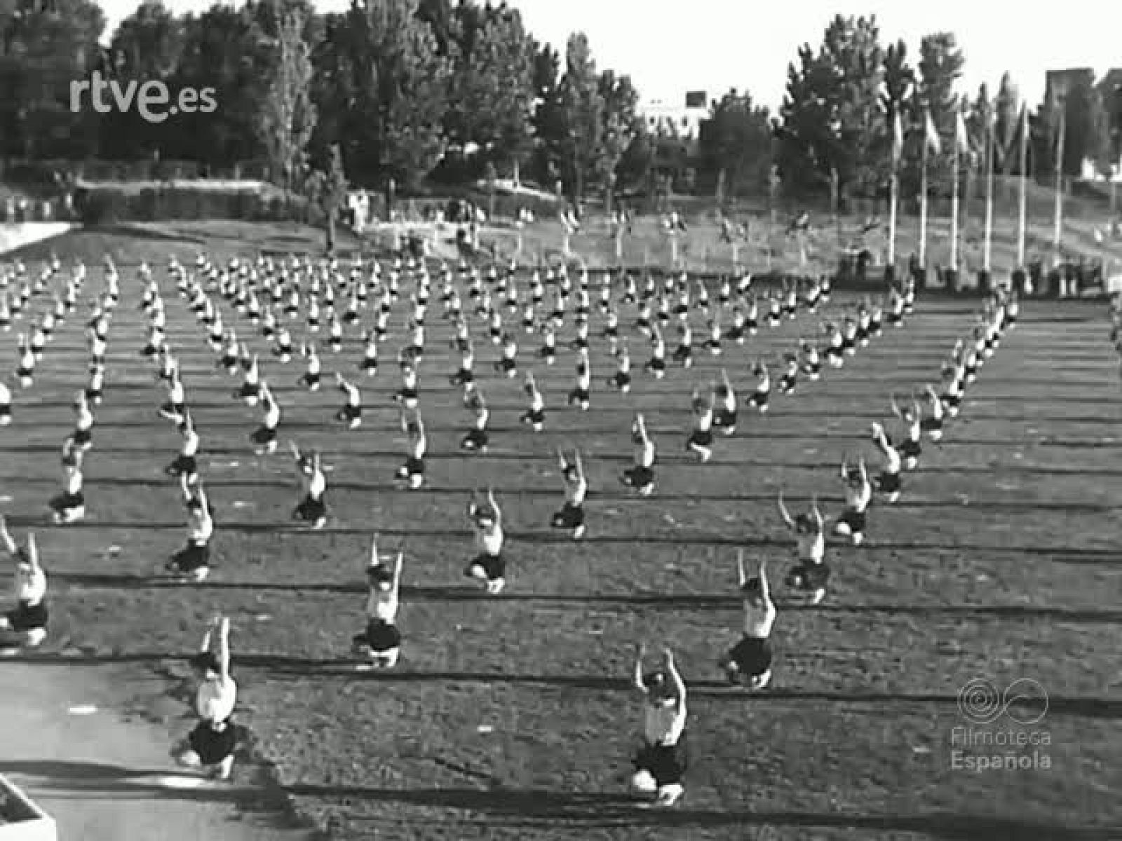 NOT N 703 A - NO-DO | Ver