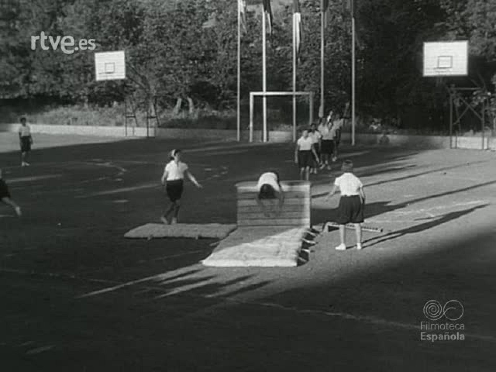 NOT N 703 B - NO-DO | Ver