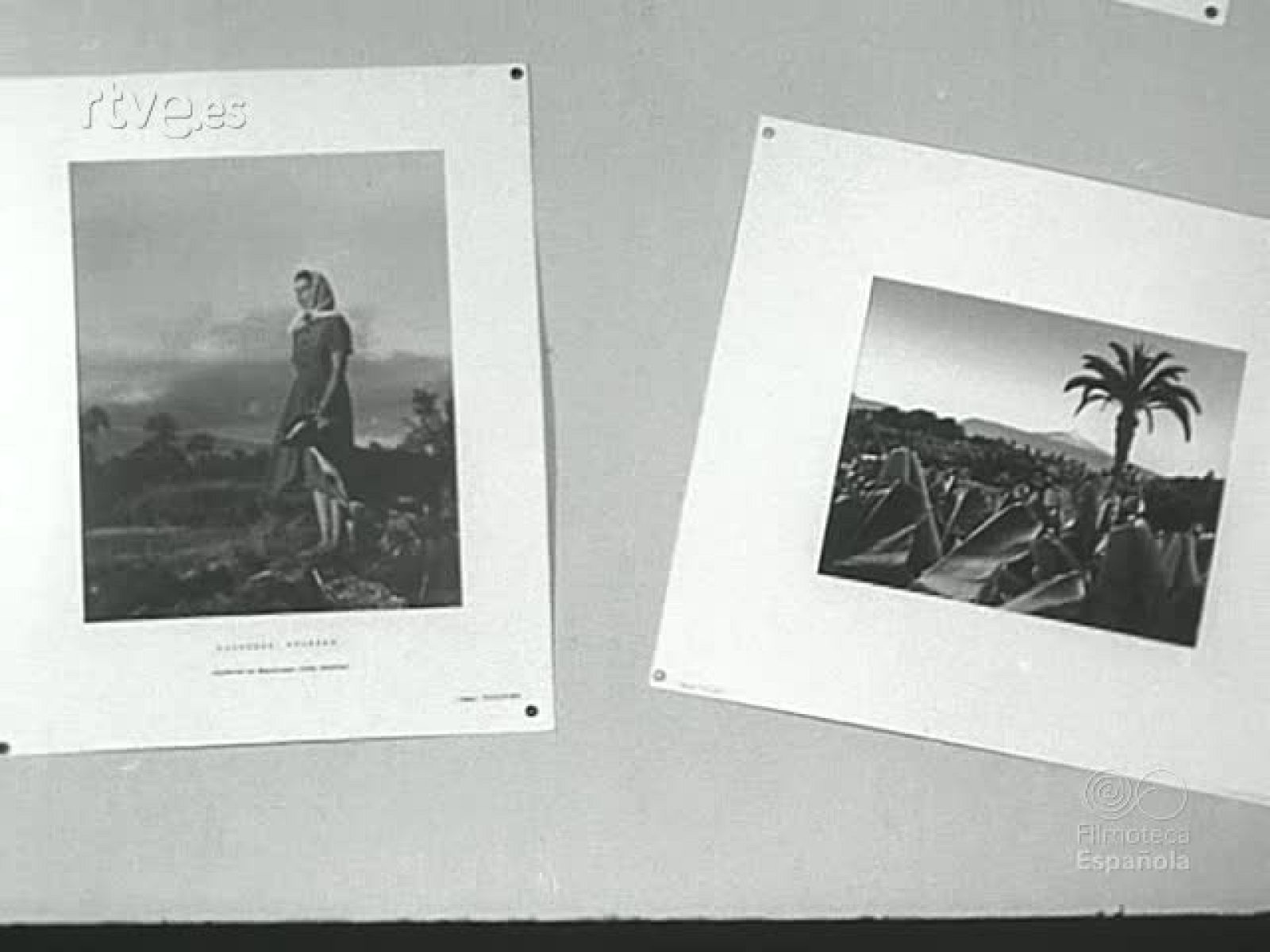 NOT N 677 A - NO-DO | Ver