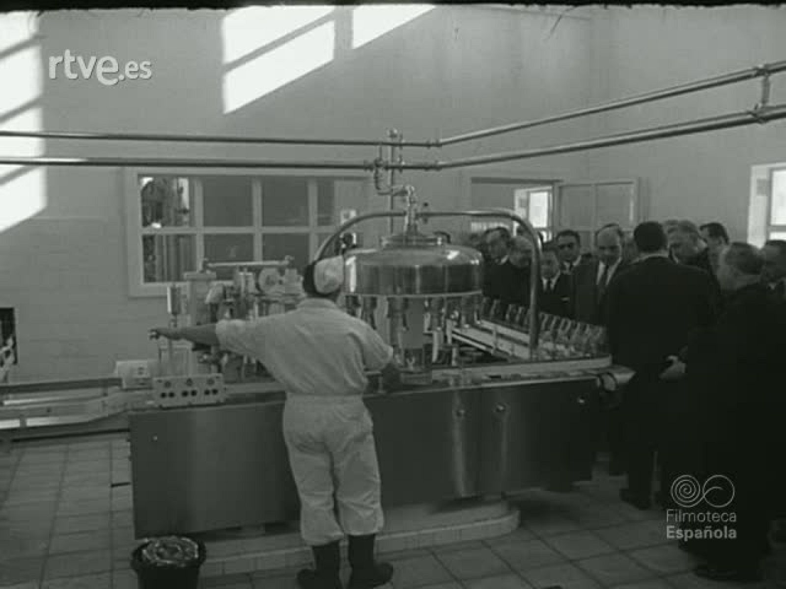 NOT N 804 B - NO-DO | Ver