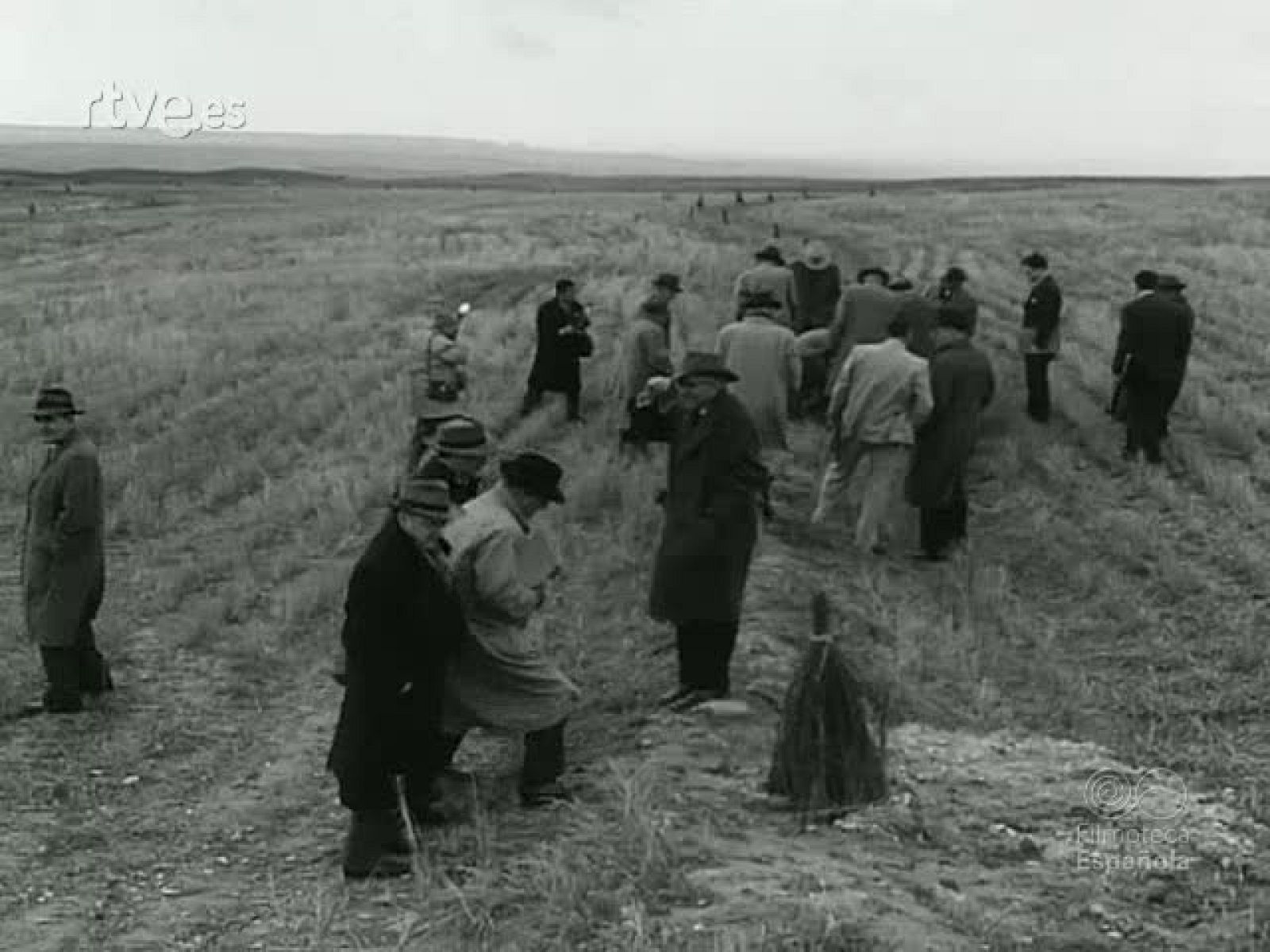 NOT N 776 A - NO-DO | Ver