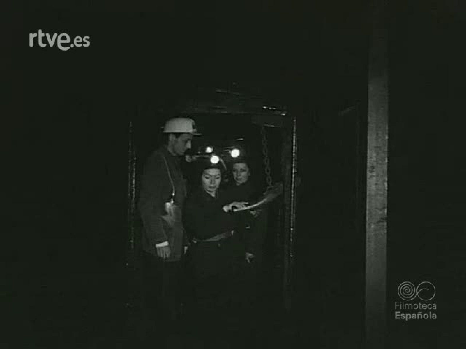 NOT N 817 A - NO-DO | Ver