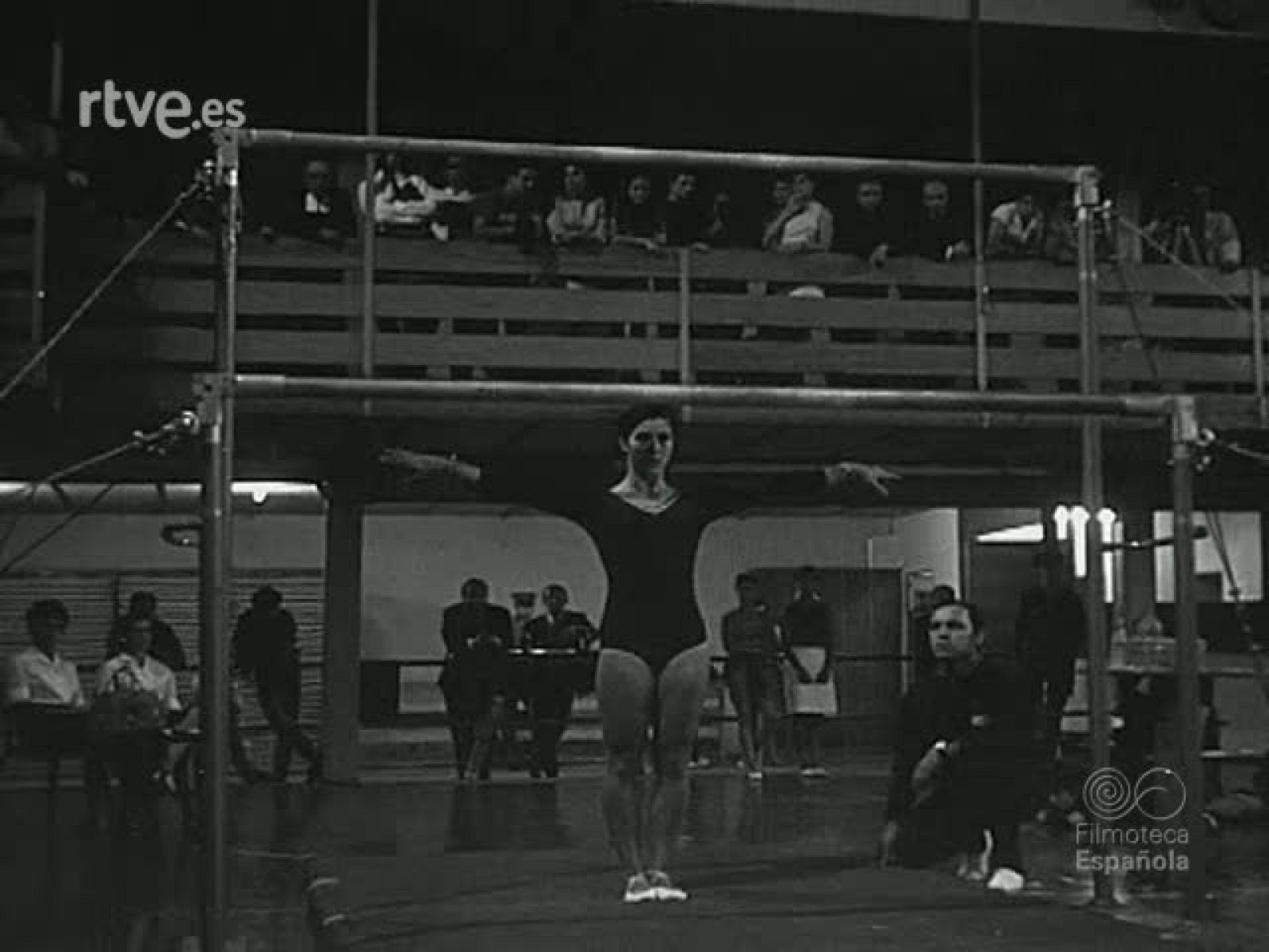 NOT N 1341 B - NO-DO | Ver