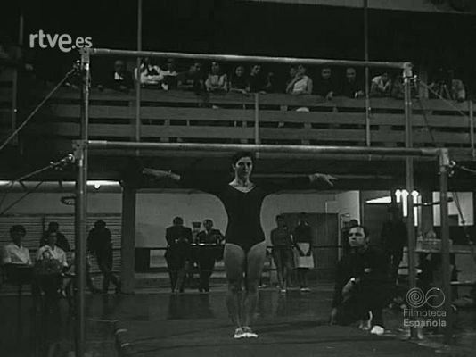 NO-DO - NOT N 1341 B