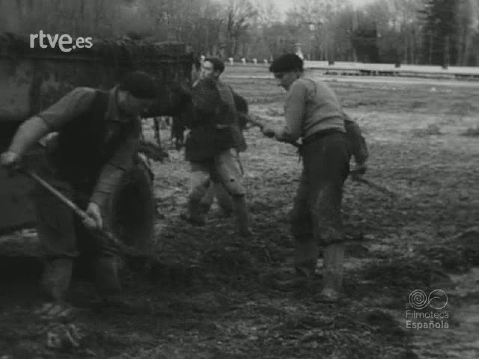 NOT N 579 B - NO-DO | Ver