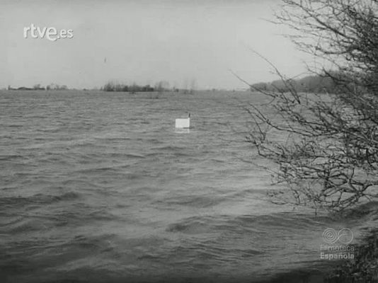 NO-DO - NOT N 1421 A