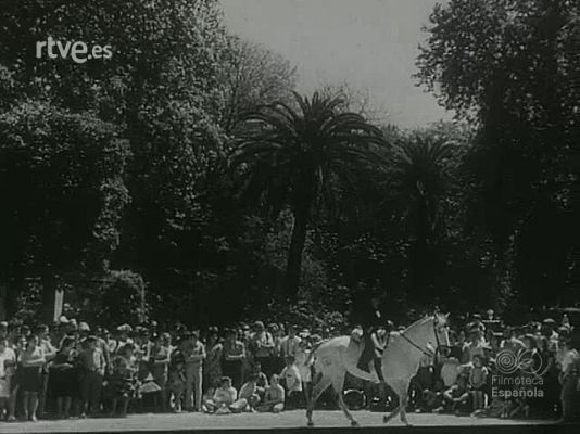 NO-DO - NOT N 1426 A