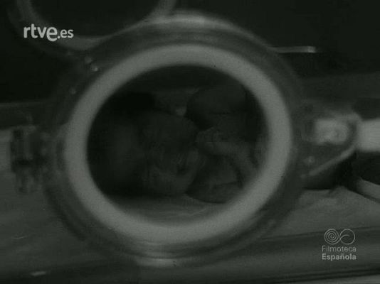 NO-DO - NOT N 1404 B