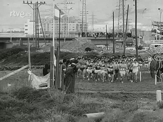 NO-DO - NOT N 1523 B