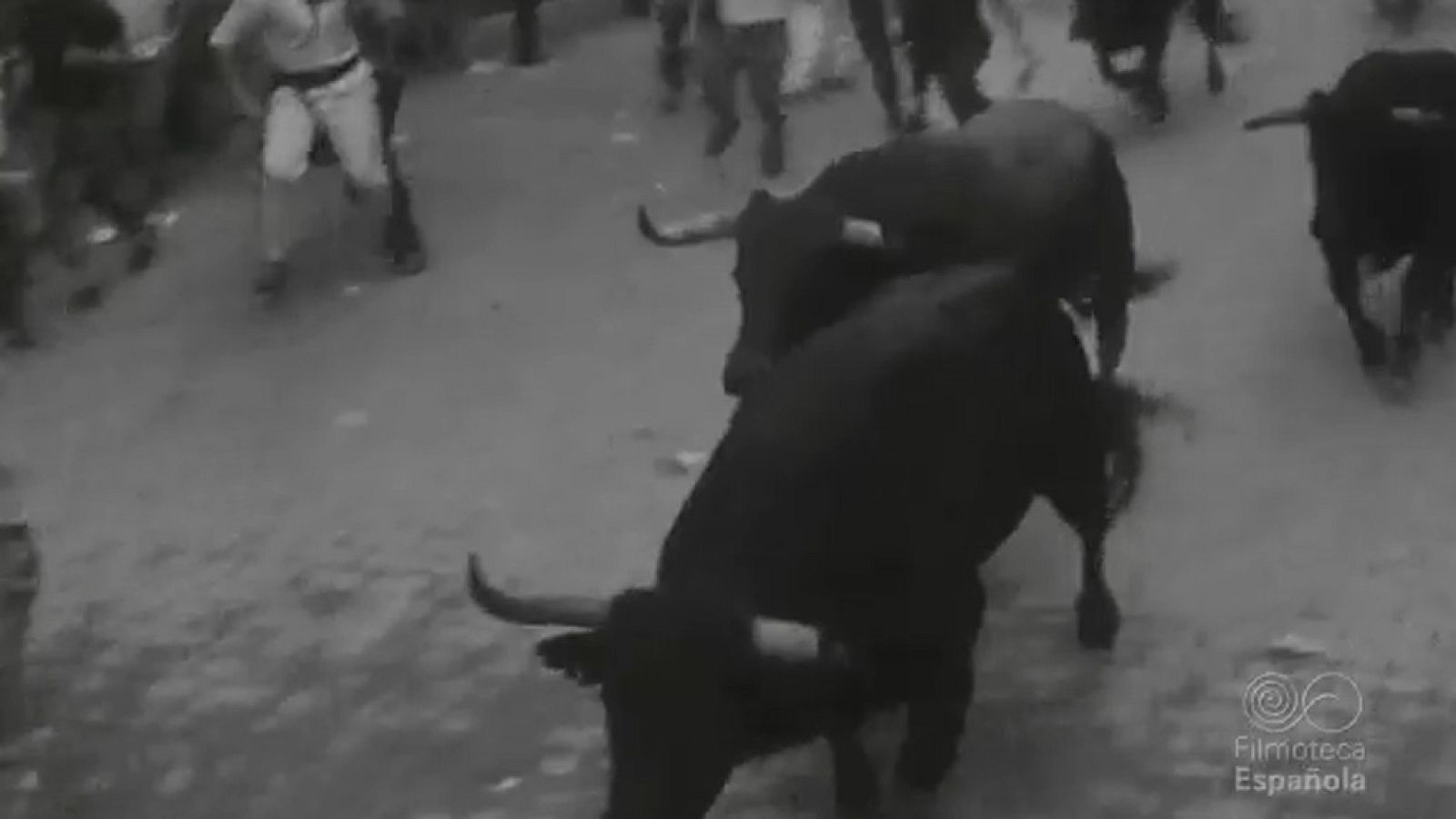 NOT N 1333 B - NO-DO | Ver