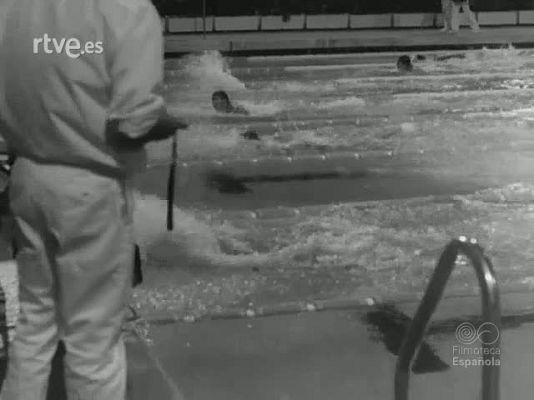 NO-DO - NOT N 1498 B