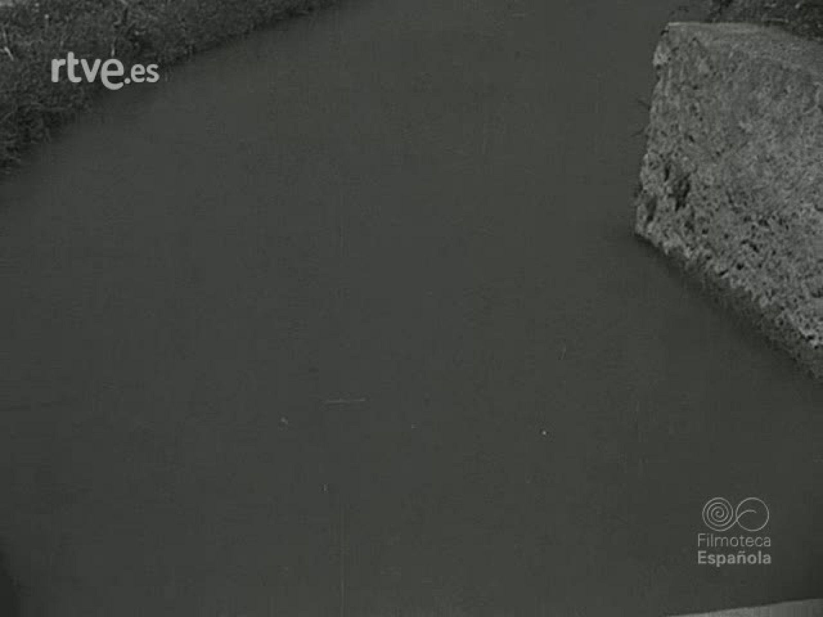 NOT N 383 A - NO-DO | Ver