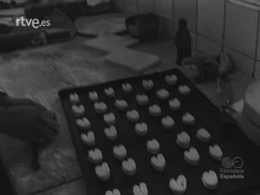 NO-DO - NOT N 1282 B