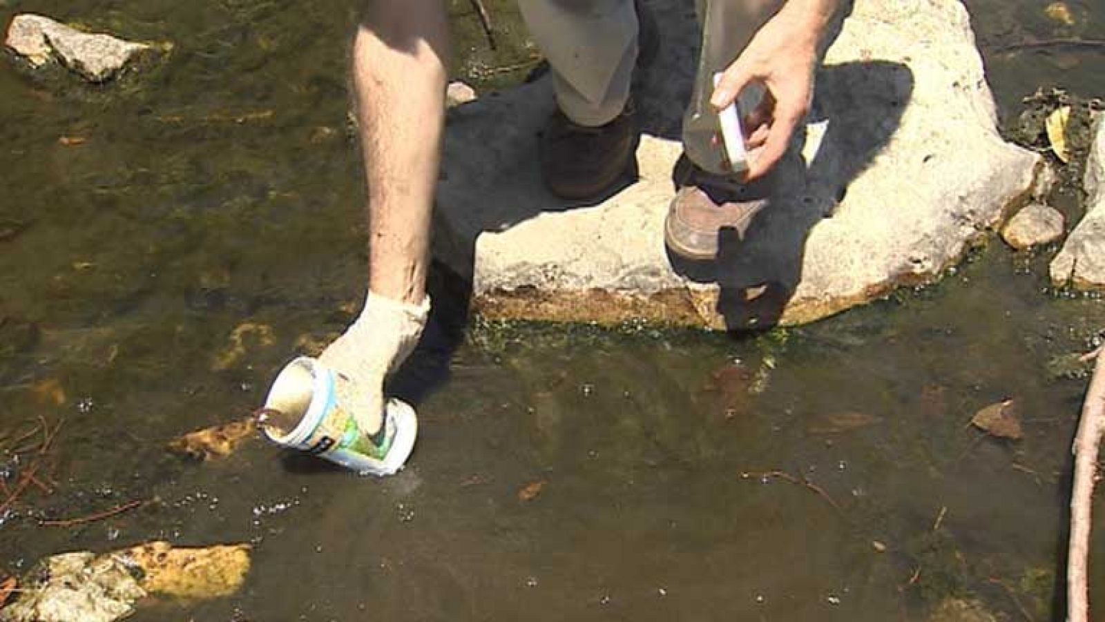 WWF denuncia el mal estado de los ríos