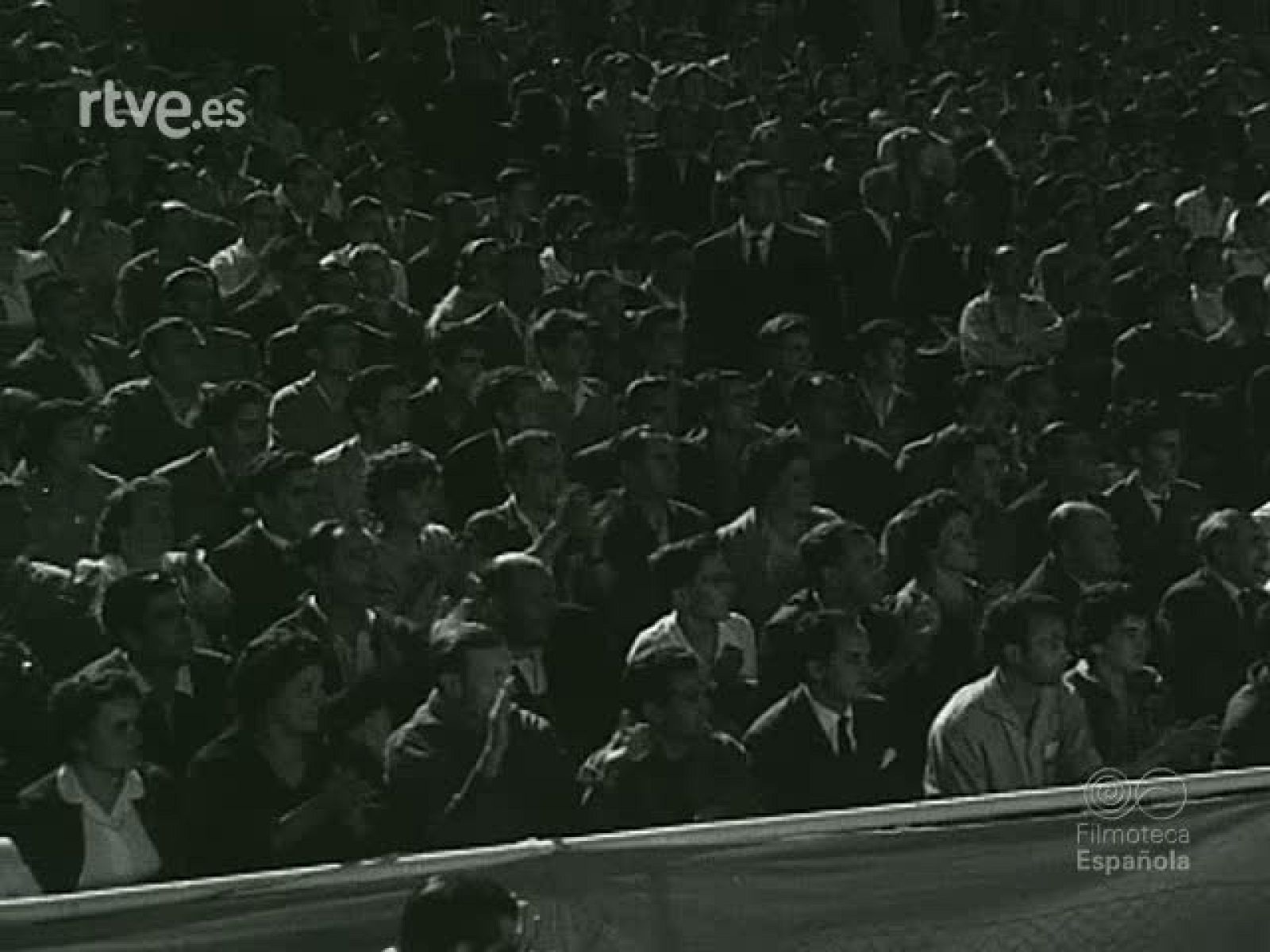 NOT N 870 B - NO-DO | Ver