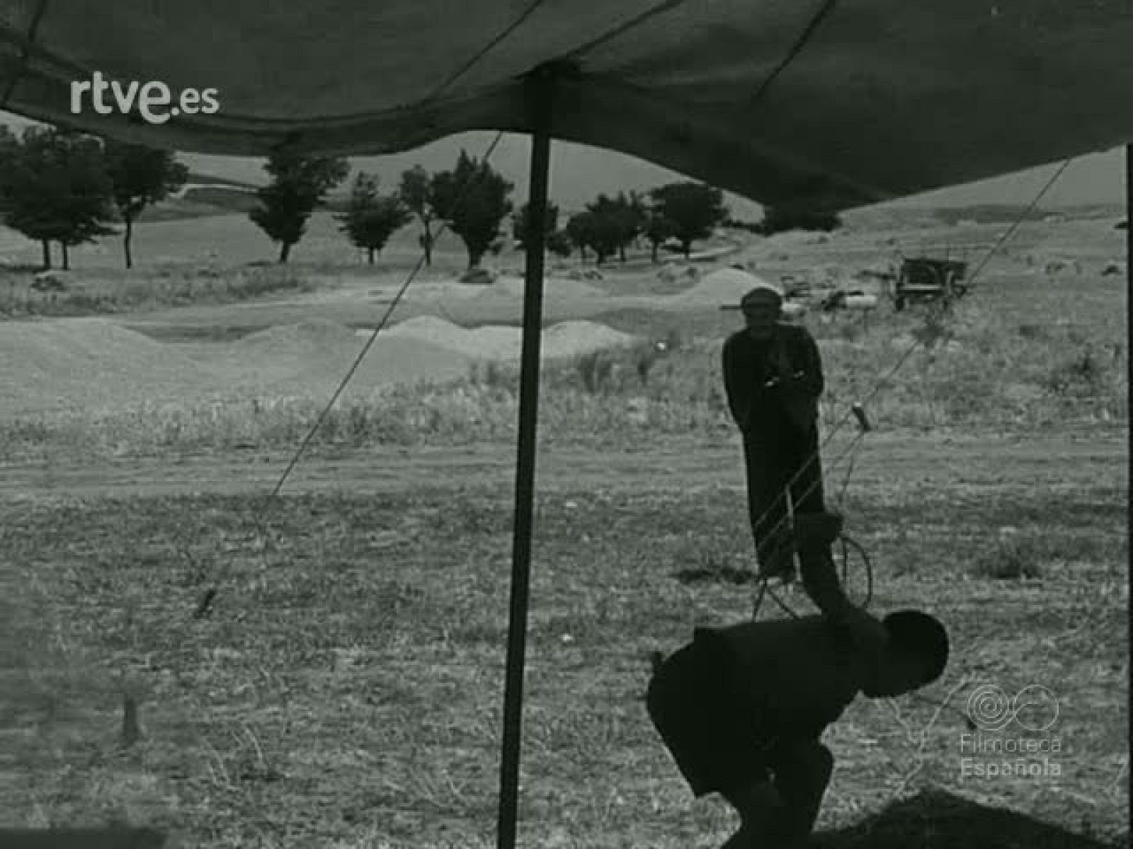 NOT N 872 B - NO-DO | Ver