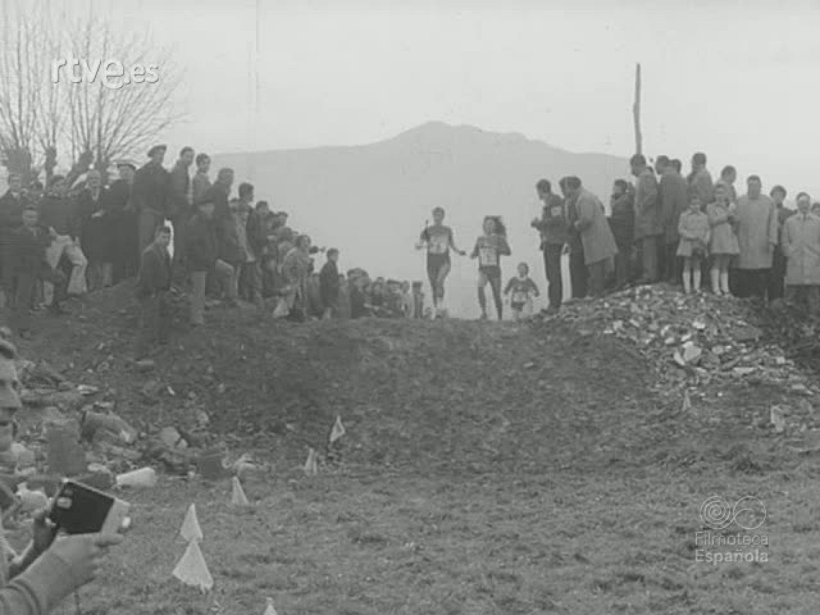 NOT N 1408 B - NO-DO | Ver