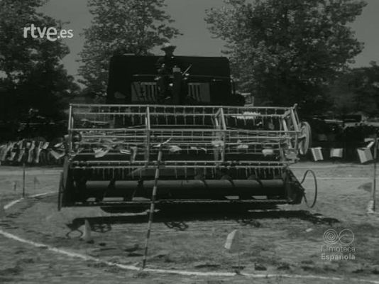 NO-DO - NOT N 1279 A