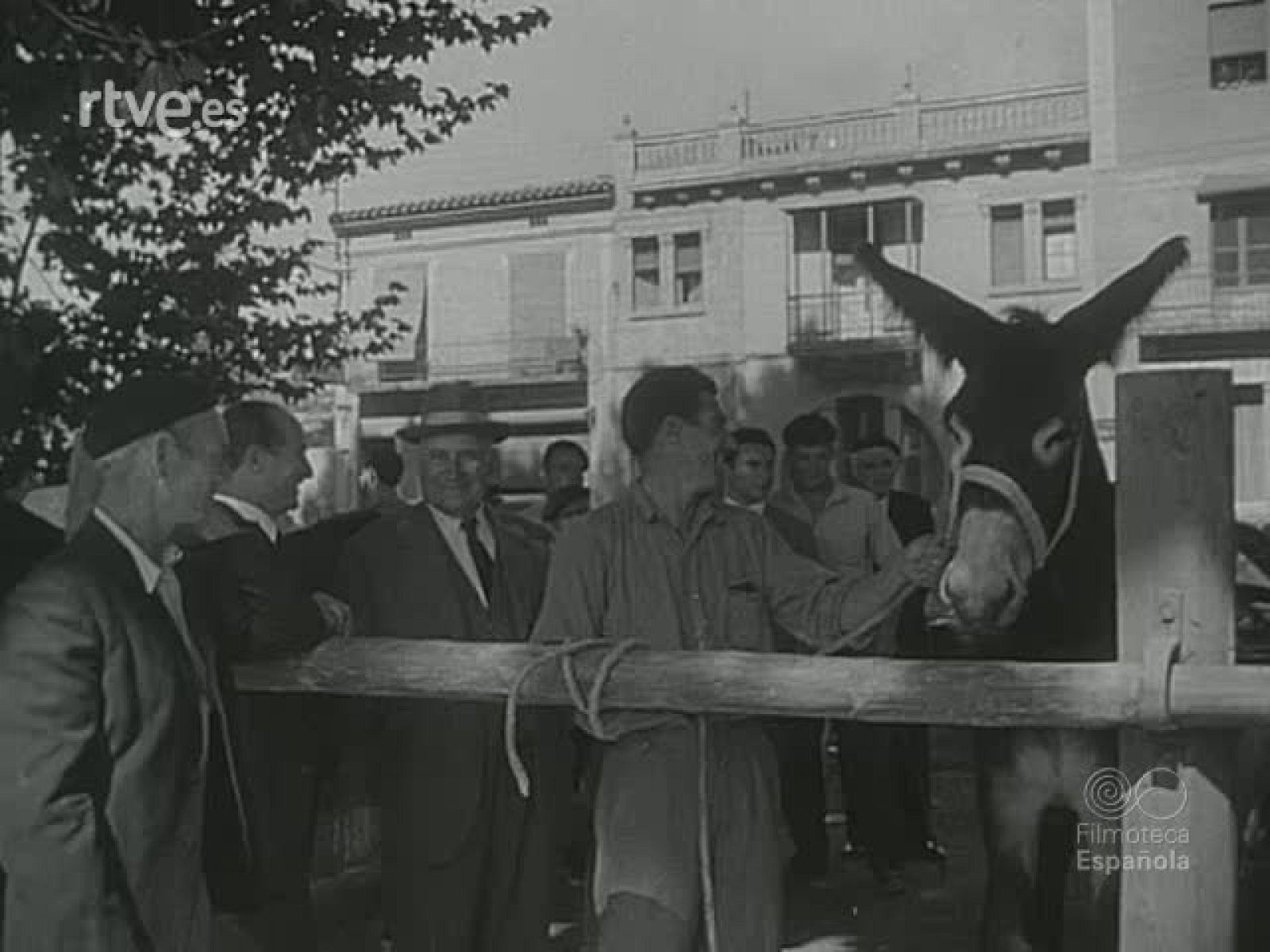 NOT N 720 B - NO-DO | Ver