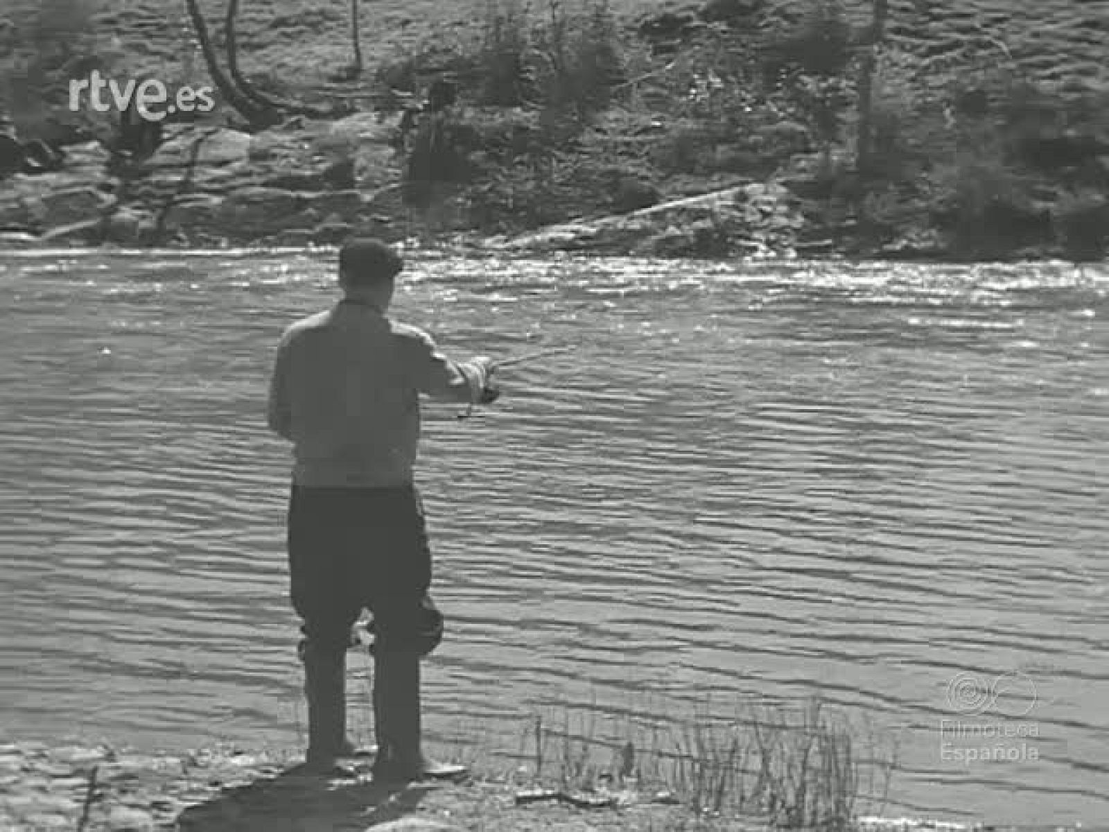 NOT N 433 A - NO-DO | Ver