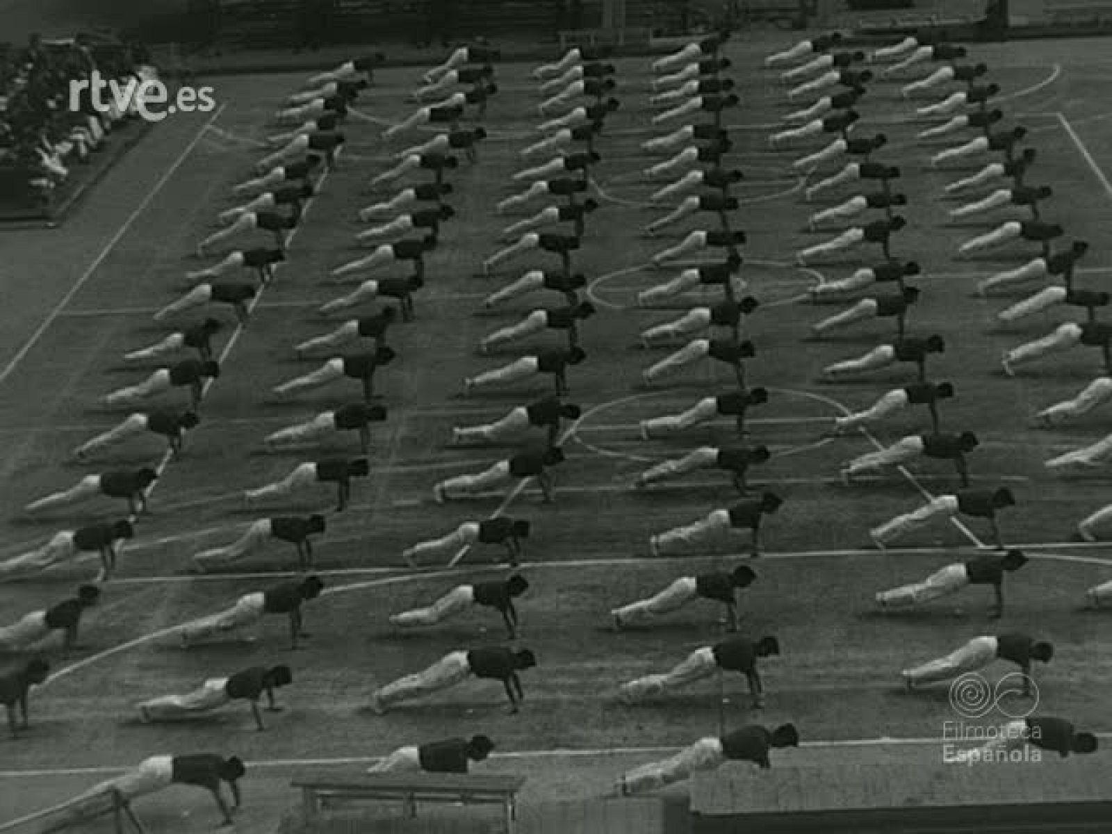 NOT N 944 C - NO-DO | Ver