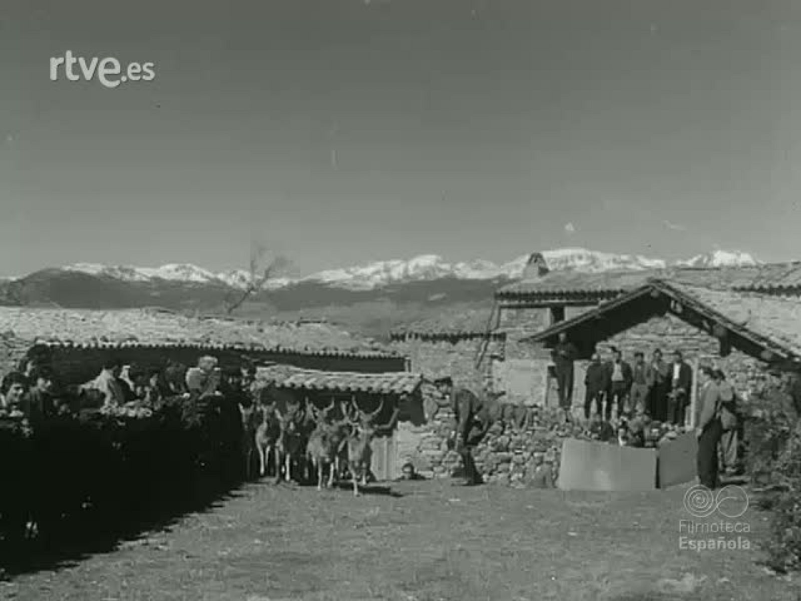 NOT N 952 B - NO-DO | Ver