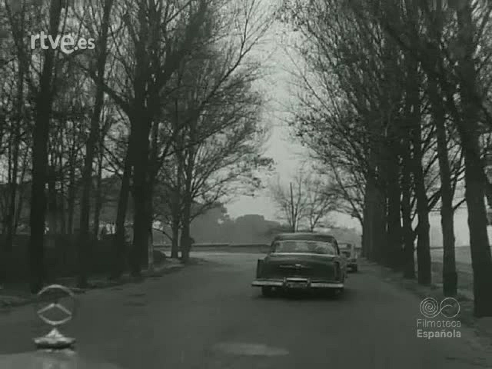 NOT N 992 C - NO-DO | Ver