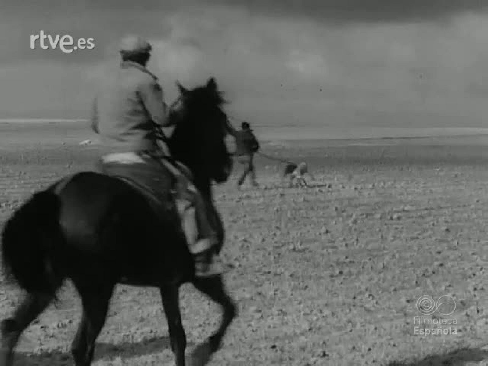 NOT N 1466 B - NO-DO | Ver