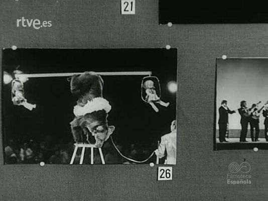 NO-DO - NOT N 1459 A