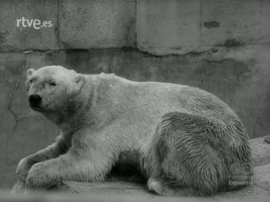 NO-DO - NOT N 1480 B