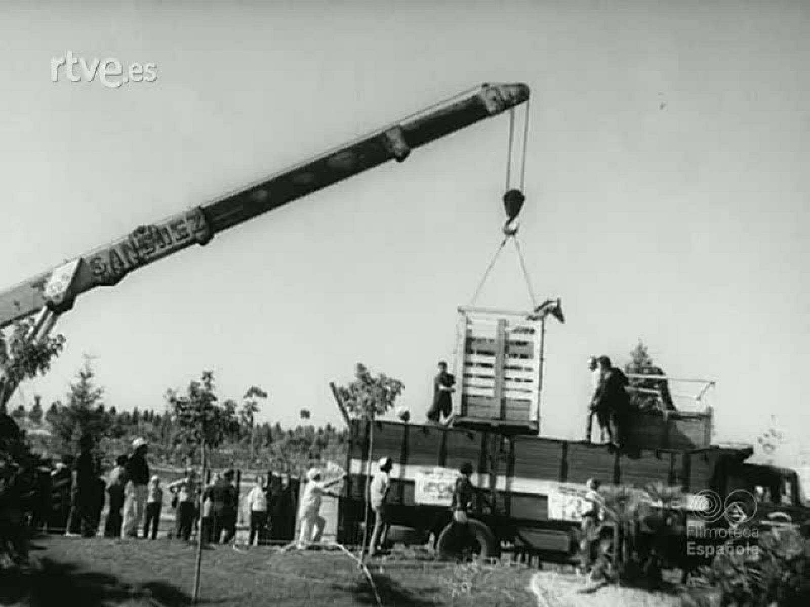 NOT N 1505 B - NO-DO | Ver