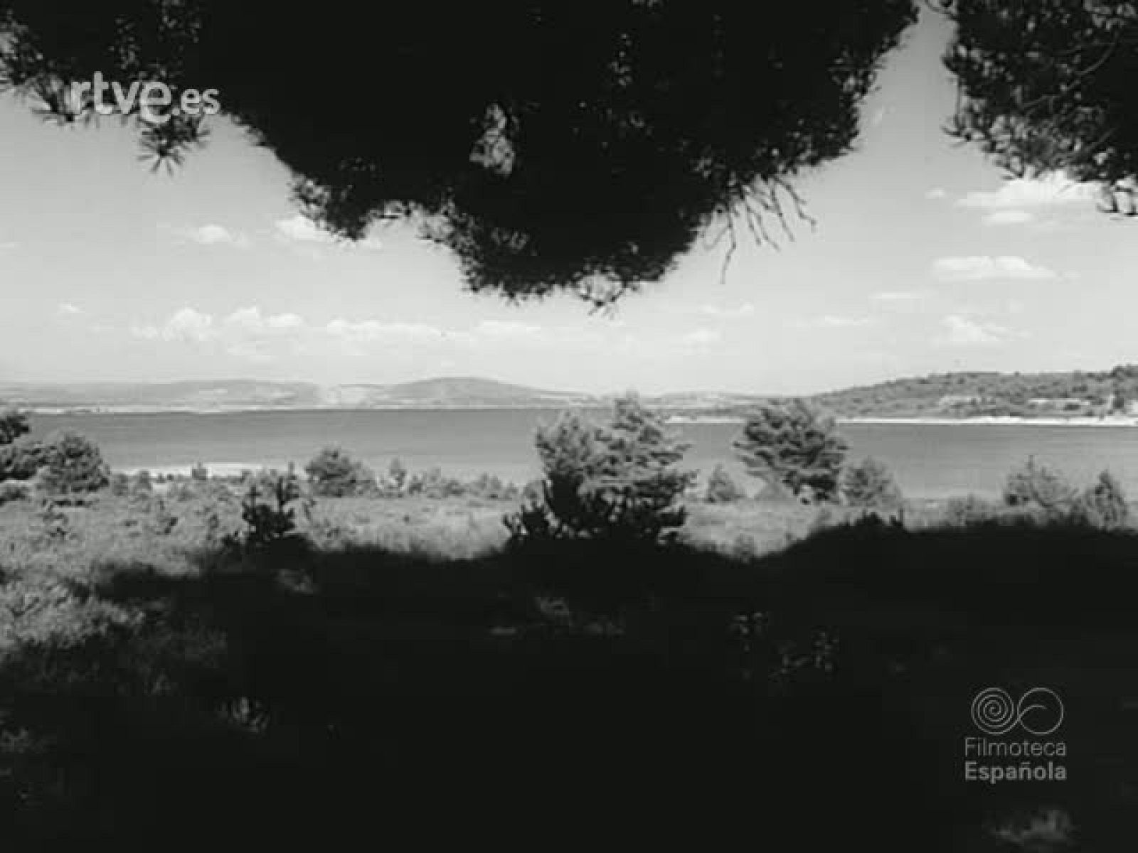 NOT N 1546 A - NO-DO | Ver