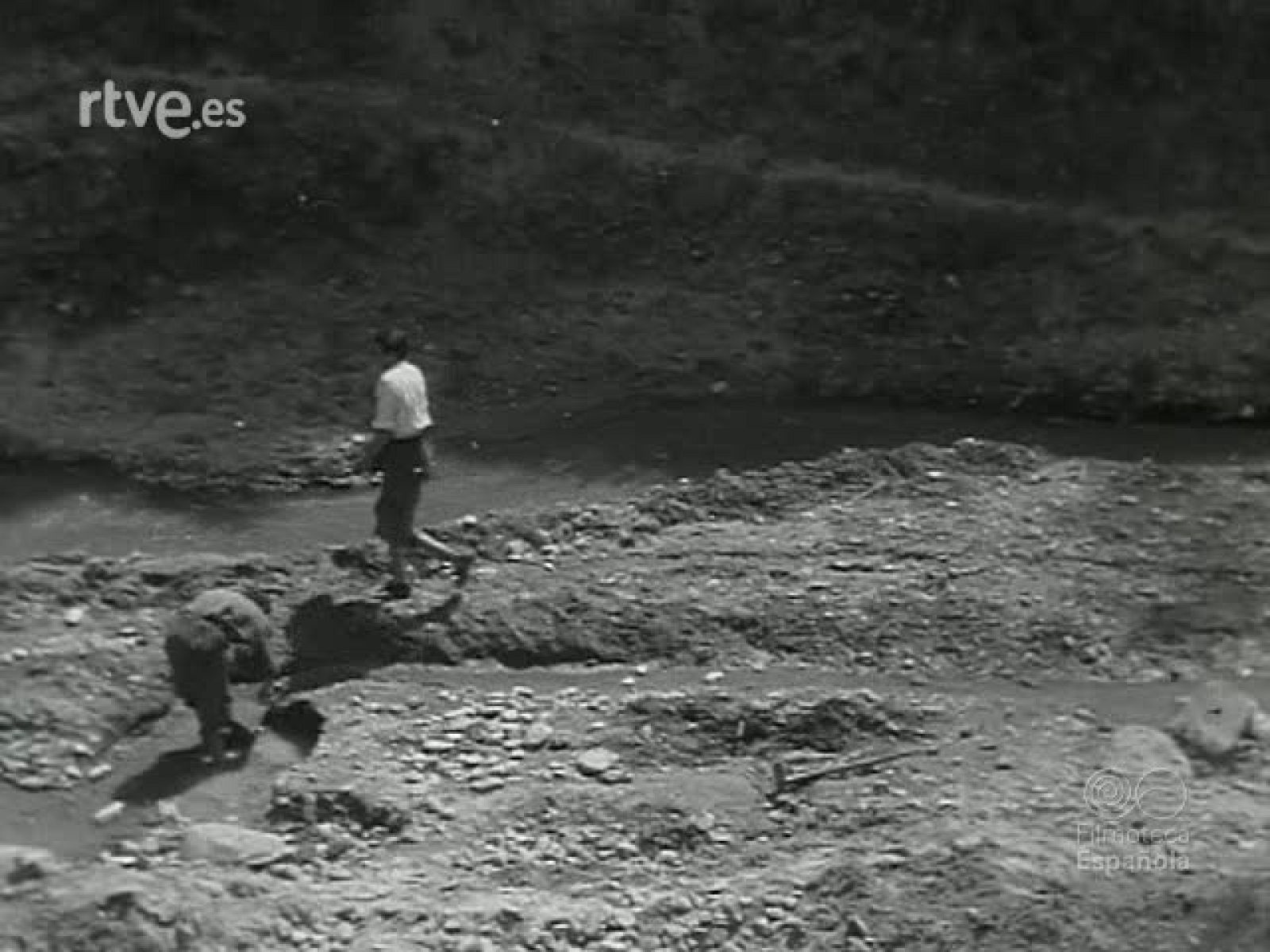 NOT N 421 A - NO-DO | Ver