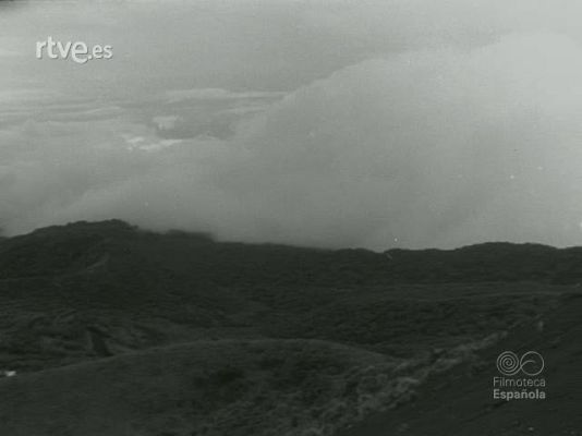 NO-DO - NOT N 1335 A