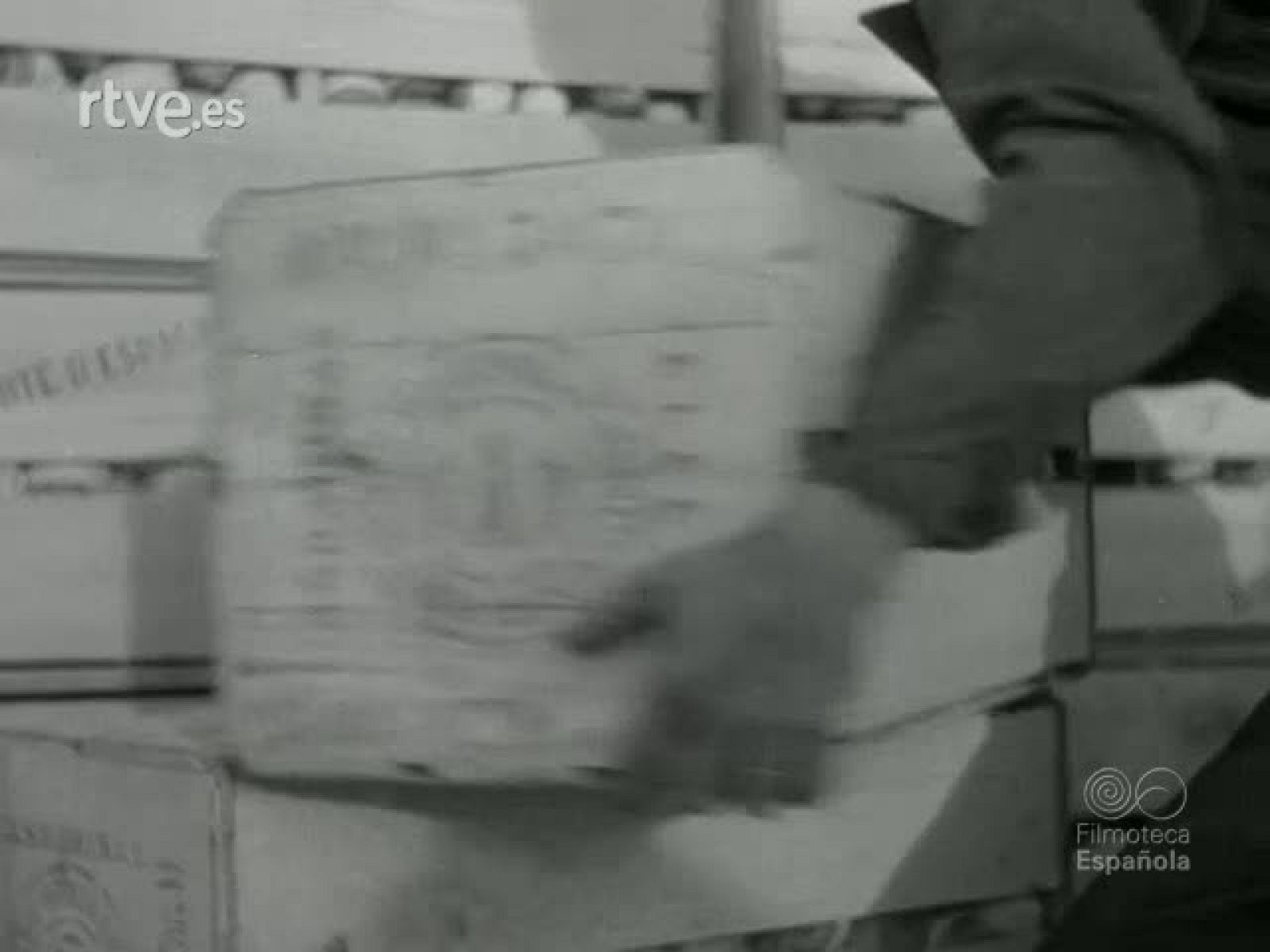 NOT N 206 A - NO-DO | Ver