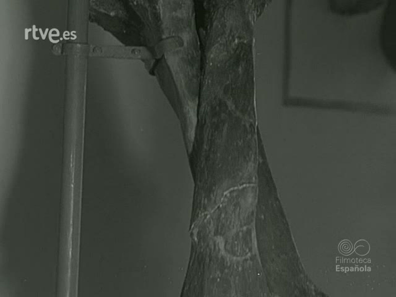 NOT N 947 B - NO-DO | Ver