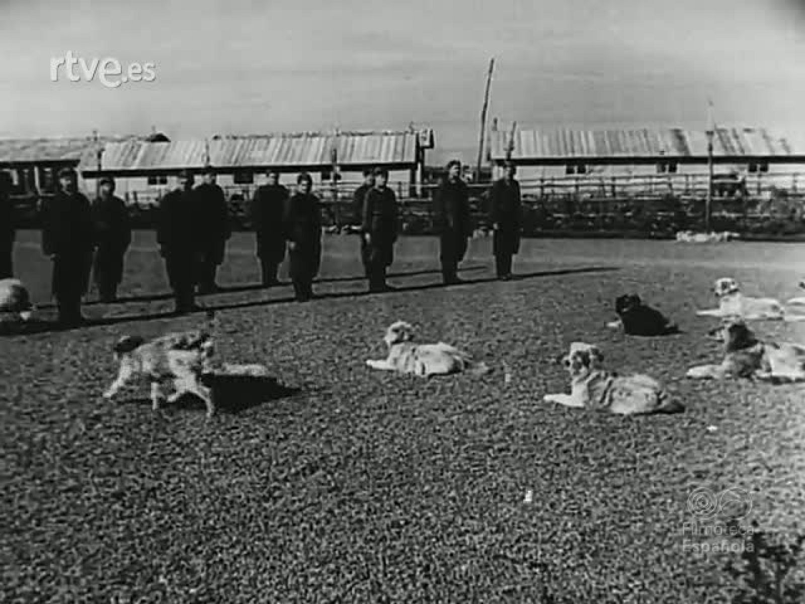 NOT N 24 B - NO-DO | Ver